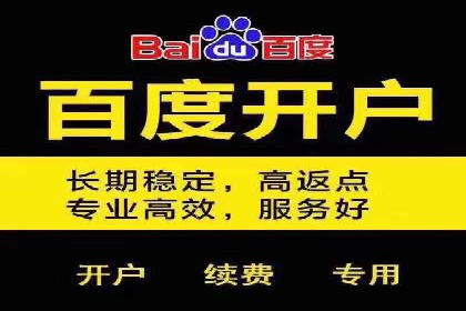 解析SEM推广代运营公司的成功案例及效果